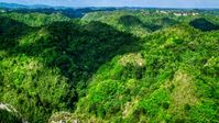 Karst mountains and jungle in Puerto Rico  Aerial Stock Photos | AX101_051.0000187F