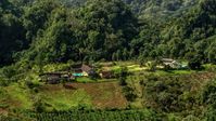 Farmhouse beside a lush green forest, Karst Forest, Puerto Rico Aerial Stock Photos | AX101_070.0000203F