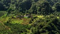 Small isolated farmhouse by lush green forests, Karst Forest, Puerto Rico Aerial Stock Photos | AX101_071.0000178F