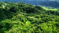 Highway cutting through lush green jungle of the Karst Forest, Puerto Rico Aerial Stock Photos | AX101_076.0000000F