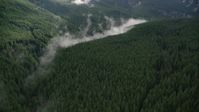 Evergreen forest and clouds of mist in the Cascade Range, Hood River County, Oregon Aerial Stock Photos | AX154_055.0000000F