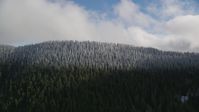 Snow line and snowy evergreen trees atop a mountain ridge, Cascade Range, Hood River County, Oregon Aerial Stock Photos | AX154_058.0000291F
