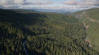 A canyon and evergreen forest near Highway 35, Cascade Range, Hood River Valley, Oregon Aerial Stock Photos | AX154_127.0000170F