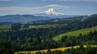 Mt Hood seen from orchards and evergreen trees in Hood River, Oregon Aerial Stock Photos | DXP001_015_0013