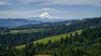 Orchards, evergreen trees, and snowy Mt Hood in the distance in Hood River, Oregon Aerial Stock Photos | DXP001_015_0016