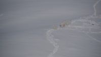 4K stock footage aerial video three mountain goats trotting through the snow, Chugach Mountains, Alaska Aerial Stock Footage | AK0001_1940