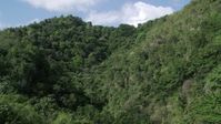 4.8K stock footage aerial video Flying through lush dense trees, Karst Forest, Puerto Rico Aerial Stock Footage | AX101_058