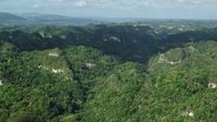 4.8K stock footage aerial video Flying over the tops of thick jungle, Karst Forest, Puerto Rico  Aerial Stock Footage | AX101_063