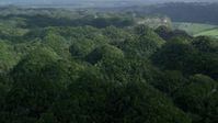 4.8K stock footage aerial video Panning the tops of lush green trees of the jungle, Karst Forest, Puerto Rico  Aerial Stock Footage | AX101_074