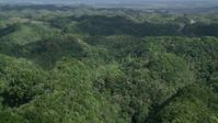 4.8K stock footage aerial video of Lush green trees of the jungle, Karst Forest, Puerto Rico  Aerial Stock Footage | AX101_075
