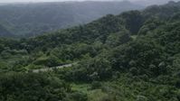 4.8K stock footage aerial video of a Highway cutting through lush green forests, Karst Forest, Puerto Rico  Aerial Stock Footage | AX101_077