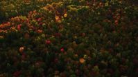 5.5K stock footage aerial video of a bird's eye view flying over colorful forest in autumn, Searsmont, Maine, sunset Aerial Stock Footage | AX149_184