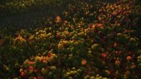 5.5K stock footage aerial video of a bird's eye view flying over brightly colored forest in autumn, Searsmont, Maine, sunset Aerial Stock Footage | AX149_185