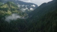 5.5K stock footage aerial video flying through Eagle Creek Trail canyon, Cascade Range, Hood River County, Oregon Aerial Stock Footage | AX154_042