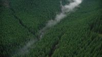 5.5K stock footage aerial video of bird's eye view of mist over a creek, and evergreen forest in the Cascade Range, Hood River County, Oregon Aerial Stock Footage | AX154_053