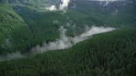 5.5K stock footage aerial video of mist hanging over evergreen trees at the bottom of a canyon in the Cascade Range, Hood River County, Oregon Aerial Stock Footage | AX154_056