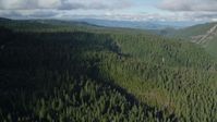 5.5K stock footage aerial video flying over evergreen forest in the Cascade Range, Hood River Valley, Oregon Aerial Stock Footage | AX154_128