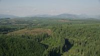 5K stock footage aerial video fly over vast evergreen forest to approach a clear cut area in King County, Washington Aerial Stock Footage | AX48_046