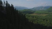 5K stock footage aerial video of flying over wooded mountain slope toward a clear cut area, King County, Washington Aerial Stock Footage | AX48_054