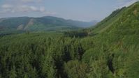 5K stock footage aerial video fly over evergreen forest to reveal a clear cut area on a mountain slope and a road in King County, Washington Aerial Stock Footage | AX48_056