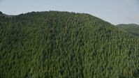 5K stock footage aerial video flyby evergreen trees covering a mountain ridge in the Cascade Range, Washington Aerial Stock Footage | AX48_062