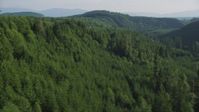 5K stock footage aerial video of a vast evergreen forest on a ridge in the Cascade Range, Washington Aerial Stock Footage | AX48_082