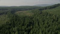 5K stock footage aerial video fly over evergreen and pan across forest and clear cut areas, King County, Washington Aerial Stock Footage | AX48_094