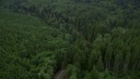 5K stock footage aerial video flyby State Route 202 through forest, Clatsop County, Oregon Aerial Stock Footage | AX56_048