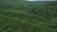 5K stock footage aerial video fly over a forest of evergreen trees in Pacific County, Washington Aerial Stock Footage | AX56_178