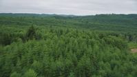 5K stock footage aerial video fly between towering trees and over a forest of evergreens in Pacific County, Washington Aerial Stock Footage | AX56_181
