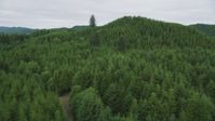 5K stock footage aerial video fly over evergreen forest and hills in Pacific County, Washington Aerial Stock Footage | AX56_183