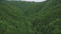 5K stock footage aerial video fly between hills covered in evergreen forest in Pacific County, Washington Aerial Stock Footage | AX56_184
