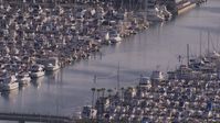HD stock footage aerial video orbit people paddling between yachts and sailboats at the harbor in Dana Point, California Aerial Stock Footage | CAP_021_064