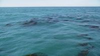 5K stock footage aerial video of flying low past kelp in the ocean, Big Sur, California Aerial Stock Footage | DFKSF16_083