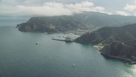 The harbor and the island town of Avalon, Santa Catalina Island, California Aerial Stock Photos | AX0159_260.0000408