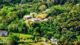 Rural homes by tree-covered hills in Vega Baja, Puerto Rico  Aerial Stock Photos | AX101_042.0000199F