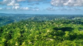 Green jungle and limestone cliffs in the Karst Forest, Puerto Rico Aerial Stock Photos | AX101_067.0000000F