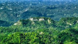 Limestone cliffs with lush green jungle growth in the Karst Forest, Puerto Rico  Aerial Stock Photos | AX101_069.0000000F