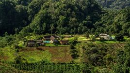 Isolated farmhouse surrounded by lush green forests, Karst Forest, Puerto Rico Aerial Stock Photos | AX101_071.0000000F