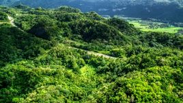 Highway cutting through lush green jungle of the Karst Forest, Puerto Rico Aerial Stock Photos | AX101_076.0000000F