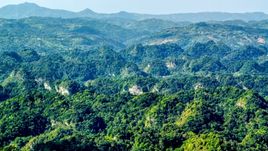 Limestone cliffs and lush green Karst Forest, Puerto Rico  Aerial Stock Photos | AX101_088.0000000F