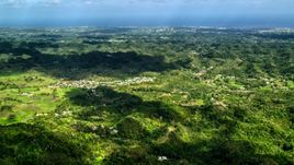 Rural homes situated among lush green trees in Karst mountains, Arecibo, Puerto Rico  Aerial Stock Photos | AX101_124.0000000F