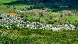 Small rural neighborhood nestled among trees Arecibo, Puerto Rico Aerial Stock Photos | AX101_126.0000000F