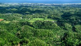 Tree covered hills and rural homes near the coast, Arecibo, Puerto Rico  Aerial Stock Photos | AX101_128.0000000F