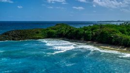 Waves rolling in toward the tree-lined coast of Arecibo, Puerto Rico  Aerial Stock Photos | AX101_154.0000043F