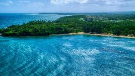 Palm trees and beach on a Caribbean island coast in Vega Alta, Puerto Rico  Aerial Stock Photos | AX101_209.0000258F