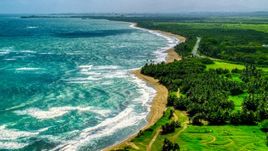 An island beach and palm trees in the Caribbean, Dorado, Puerto Rico  Aerial Stock Photos | AX101_220.0000234F