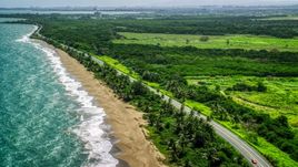 Beach and island highway with palm trees in the Caribbean, Dorado, Puerto Rico Aerial Stock Photos | AX101_224.0000261F