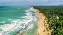 Waves rolling in toward a tree-lined beach in Loiza, Puerto Rico  Aerial Stock Photos | AX102_019.0000224F