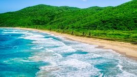 Turquoise blue waters along a Caribbean beach and lush vegetative coast, Culebra, Puerto Rico  Aerial Stock Photos | AX102_117.0000000F